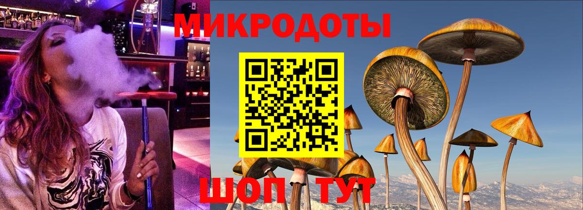 Псилоцибиновые грибы прущие грибы  Псилоцибиновые грибы ЛСД  Вход с VPN  цены наркотик  Саранск 